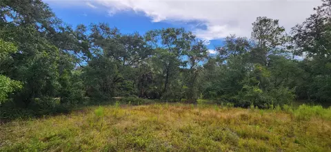 7096 E Channel Dr, Hernando, FL 34442 photo 16