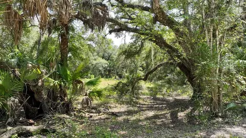 7096 E Channel Dr, Hernando, FL 34442 photo 10