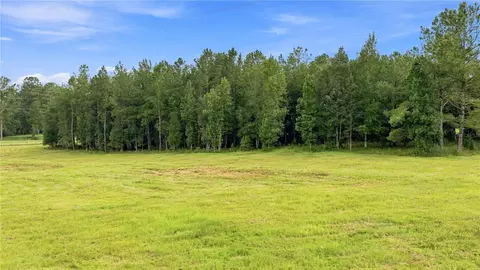 18601 NW 160th Ave, Williston, FL 32696 photo 3
