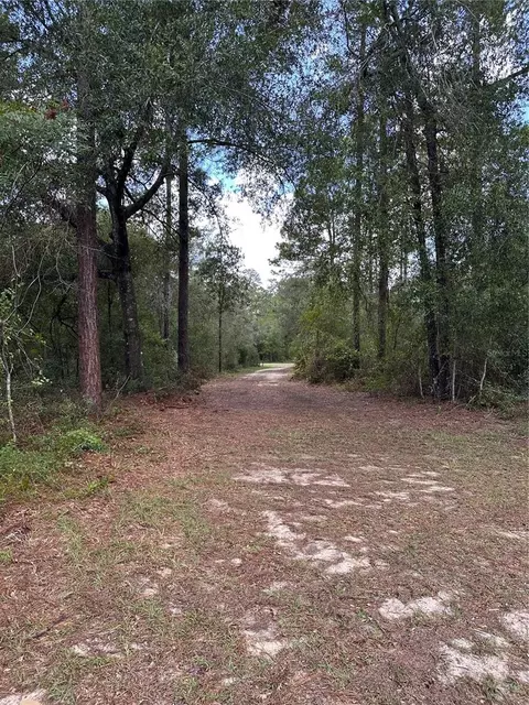 0 NE 127th Ct, Williston, FL 32696 photo 5