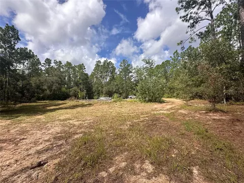 0 NE 127th Ct, Williston, FL 32696 photo 3