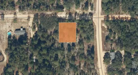 tbd Rose Trl, Interlachen, FL 32148 photo 2