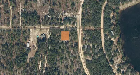 tbd Rose Trl, Interlachen, FL 32148 photo 4