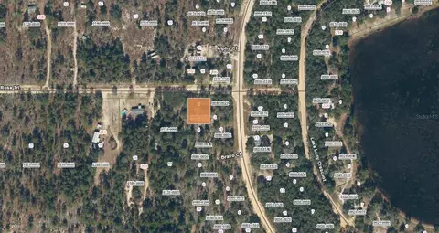 tbd Rose Trl, Interlachen, FL 32148 photo 3