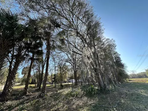 tbd NE 151 Ln, Fort Mc Coy, FL 32134