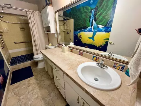 Bath - 4033 SE 15th St, Ocala, FL 34471 photo 3 of 7