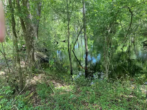 tbd SW 2 Sw 129th Blvd, Webster, FL 33597 photo 2