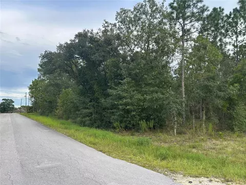 tbd NE 150th Ave, Williston, FL 32696 photo 4