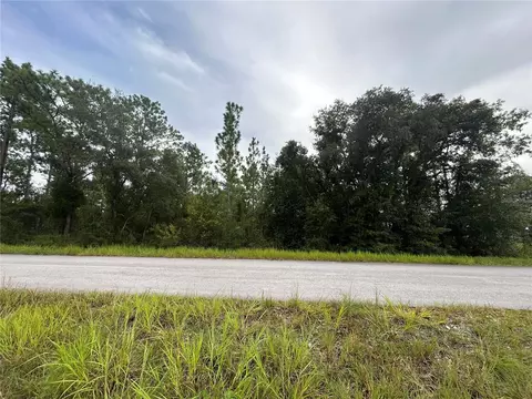 tbd NE 150th Ave, Williston, FL 32696 photo 3