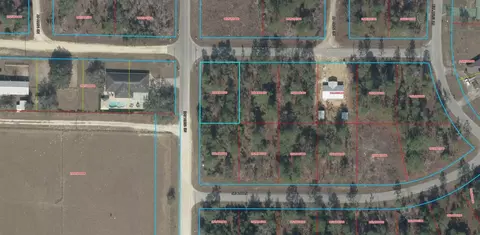 tbd NE 150th Ave, Williston, FL 32696 photo 5