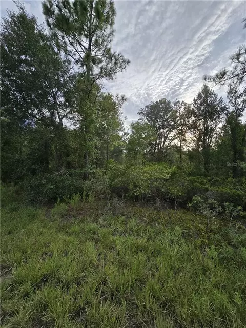 00 NE 124th Ter, Williston, FL 32696 photo 4