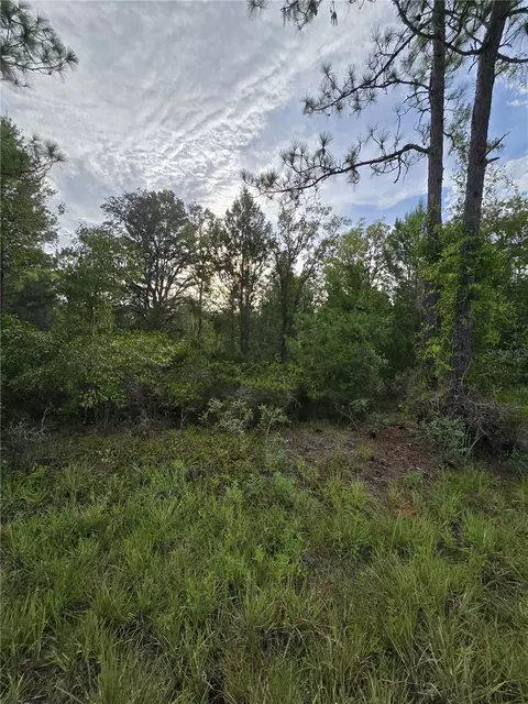 00 NE 124th Ter, Williston, FL 32696 photo 5