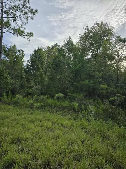 00 NE 124th Ter, Williston, FL 32696 photo 2