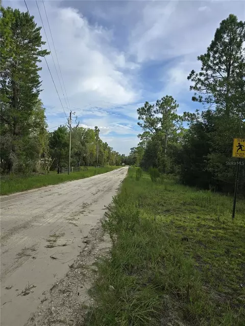 00 NE 124th Ter, Williston, FL 32696 photo 7