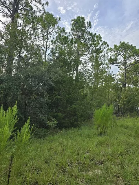 00 NE 124th Ter, Williston, FL 32696 photo 3