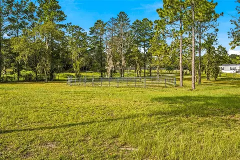 Other - 5351 NE 121st Ter, Williston, FL 32696 photo 16 of 16
