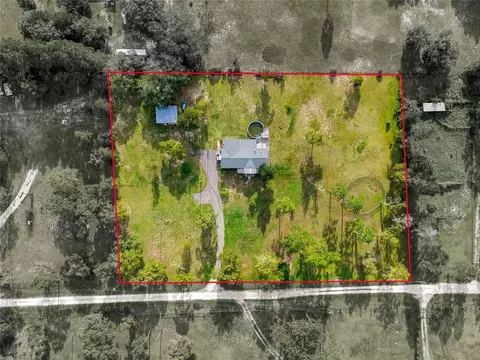 View/Area - 5351 NE 121st Ter, Williston, FL 32696 photo 1 of 6