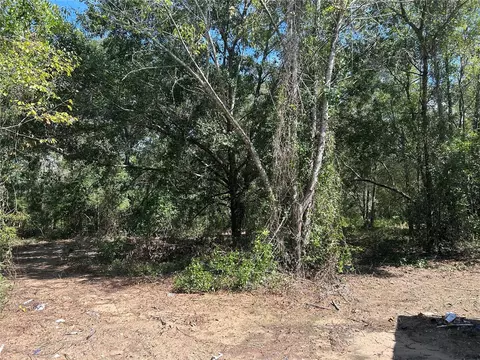 1631 NE 123rd Ter, Williston, FL 32696 photo 2