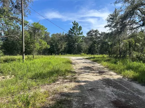 1631 NE 123rd Ter, Williston, FL 32696 photo 3