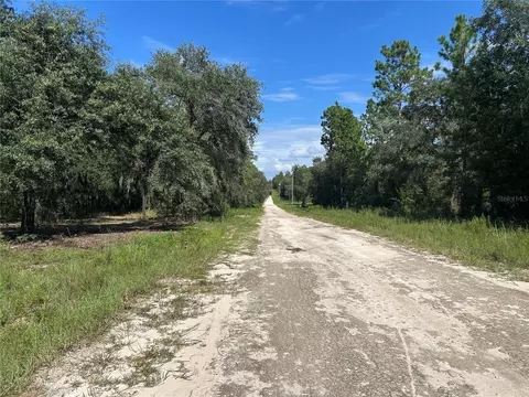 1631 NE 123rd Ter, Williston, FL 32696 photo 5
