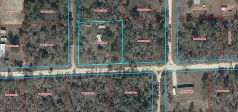 1631 NE 123rd Ter, Williston, FL 32696 photo 14