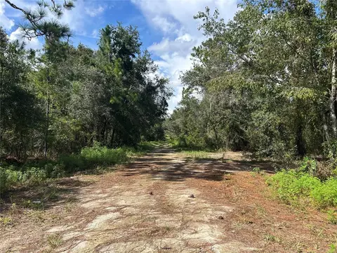 1631 NE 123rd Ter, Williston, FL 32696 photo 4