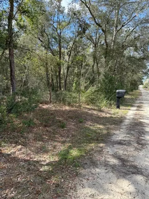 3348 E Hester St, Inverness, FL 34453 photo 9