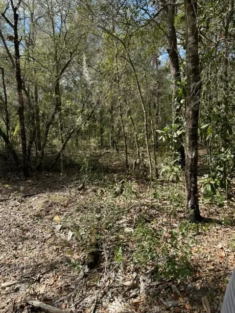 3348 E Hester St, Inverness, FL 34453 photo 10