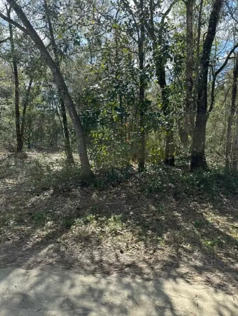 3348 E Hester St, Inverness, FL 34453 photo 11
