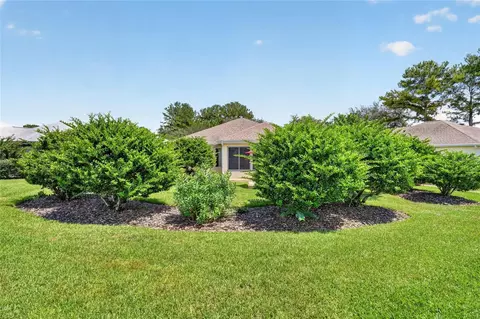 Exterior - 9451 SE 132nd Loop, Summerfield, FL 34491 photo 10 of 16