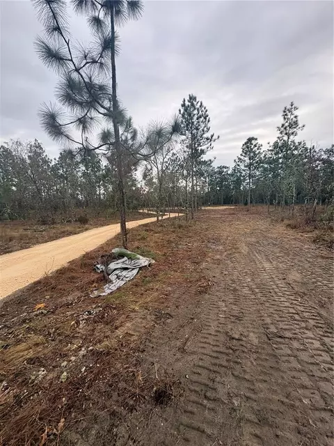 SE 4th Street, Williston, FL 32696 photo 6