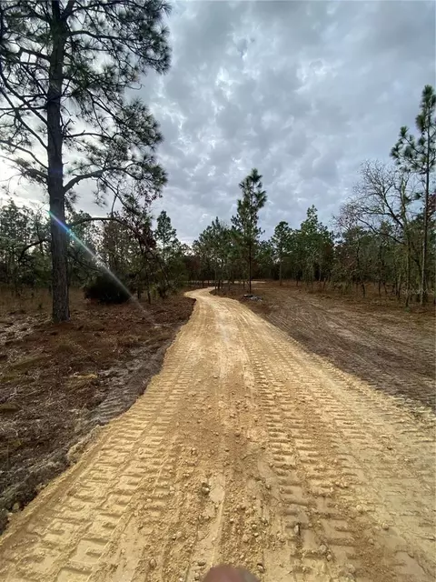 SE 4th Street, Williston, FL 32696 photo 5