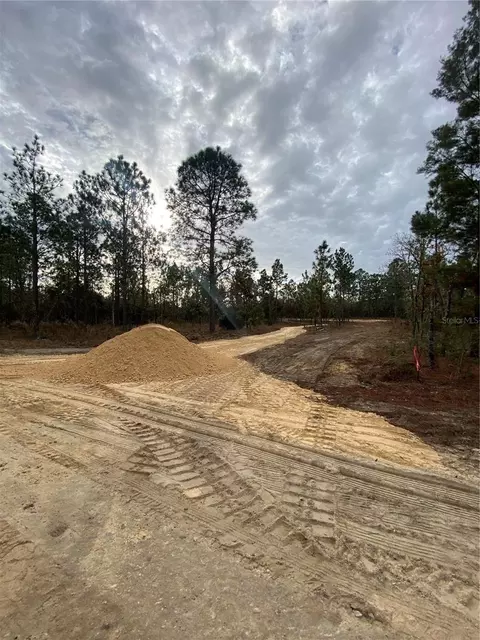 SE 4th Street, Williston, FL 32696 photo 8