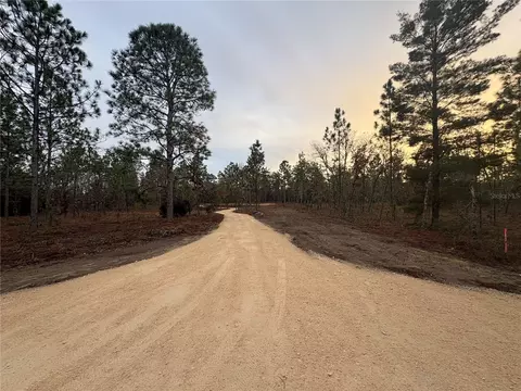 SE 4th Street, Williston, FL 32696 photo 3