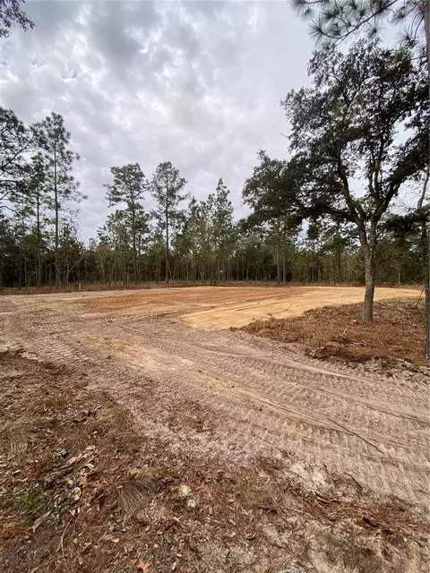 SE 4th Street, Williston, FL 32696 photo 11