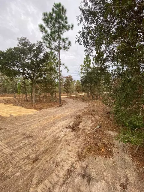 SE 4th Street, Williston, FL 32696 photo 9