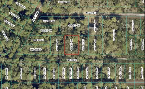 NE 226th Street, Orange Springs, FL 32182