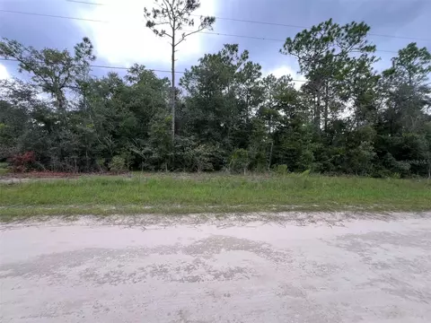 tbd SW 167th Ave, Ocala, FL 34481 photo 2