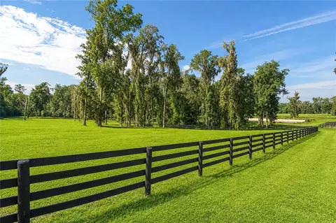 Other - 8568 NW 120th St, Reddick, FL 32686 photo 20 of 28