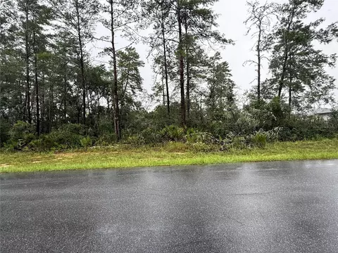 0 SW 176th Loop, Ocala, FL 34473 photo 4