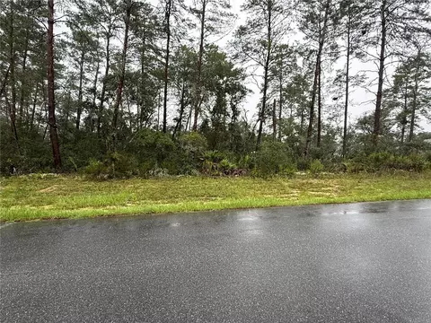 0 SW 176th Loop, Ocala, FL 34473 photo 2