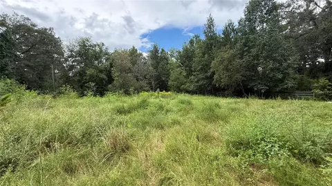 12171 NW 168th Pl, Reddick, FL 32686 photo 8