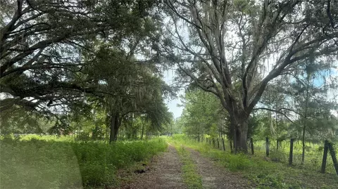 12171 NW 168th Pl, Reddick, FL 32686 photo 10
