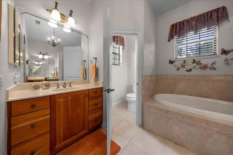 Bath - 820 SE 36th Ln, Ocala, FL 34471 photo 4 of 10