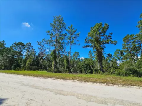 0000 NE 38th Pl, Williston, FL 32696 photo 3