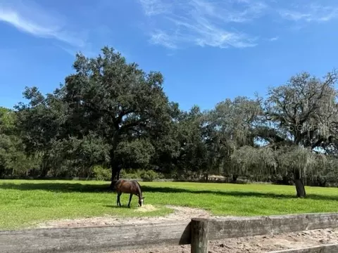Other - 12550 SW 16th Ave, Ocala, FL 34473 photo 3 of 14