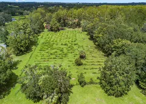 View/Area - 10330 NW 28th Pl, Ocala, FL 34482 photo 5 of 6