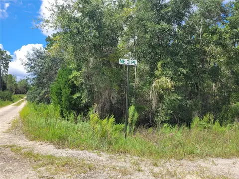 0 NE 3rd Pl, Williston, FL 32696 photo 11