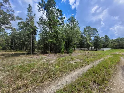 0 NE 3rd Pl, Williston, FL 32696 photo 7