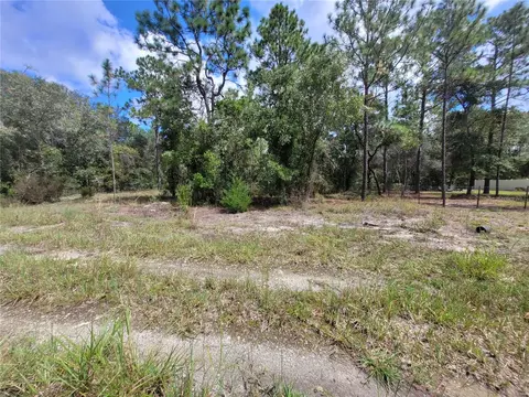 0 NE 3rd Pl, Williston, FL 32696 photo 8